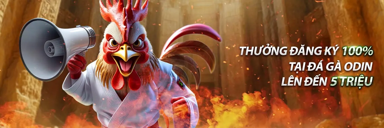 Khuyến mãi 8win55 độc quyền cho năm 2026, ưu đãi cá cược thể thao và sòng bạc trực tuyến